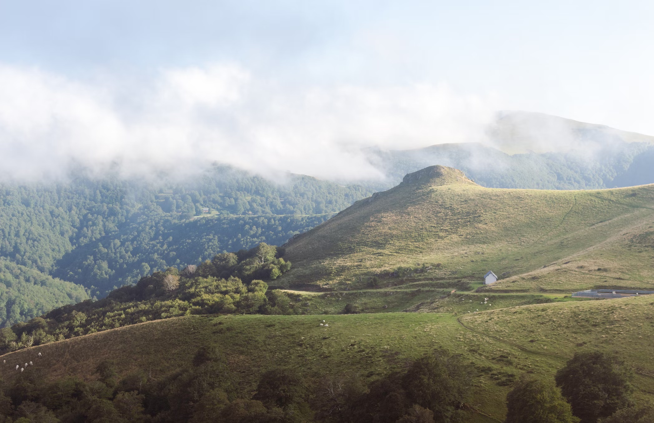 Jardin bien entretenu
