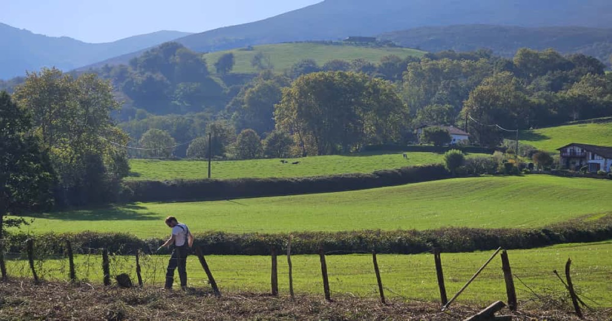 Clearing in the Basque Country
